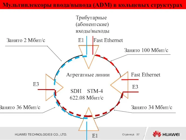 Мультиплексоры ввода/вывода (ADM) в кольцевых структурах Трибутарные (абонентские) входы/выходы Е3