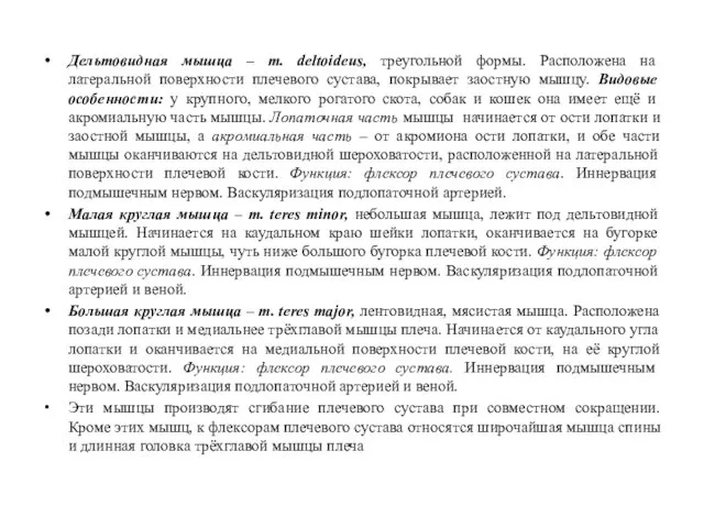 Дельтовидная мышца – m. deltoideus, треугольной формы. Расположена на латеральной