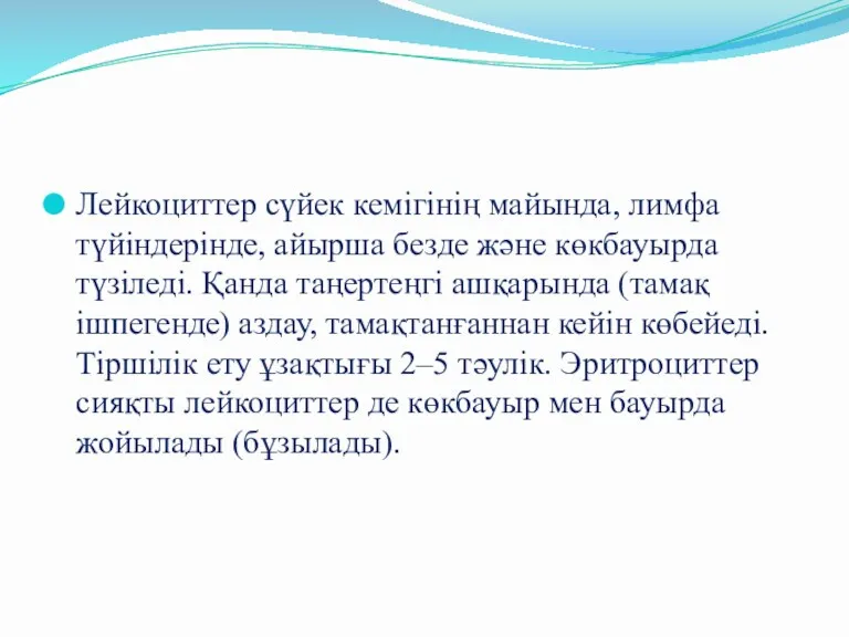 Лейкоциттер сүйек кемігінің майында, лимфа түйіндерінде, айырша безде және көкбауырда түзіледі. Қанда таңертеңгі