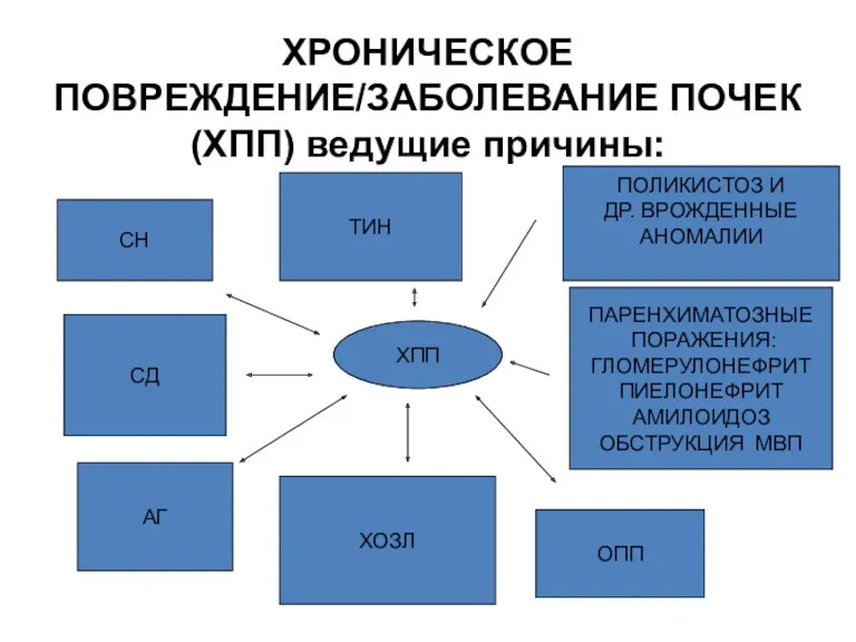 ХРОНИЧЕСКОЕ ПОВРЕЖДЕНИЕ/ЗАБОЛЕВАНИЕ ПОЧЕК (ХПП) ведущие причины: ХПП ТИН СН СД