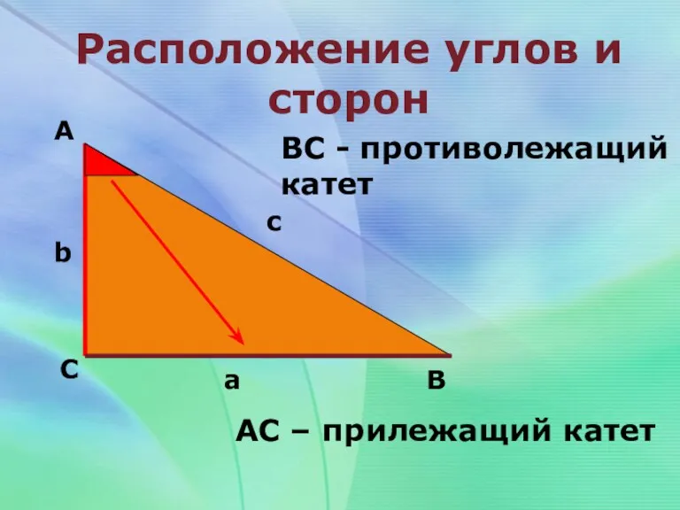 Расположение углов и сторон А С В b c a