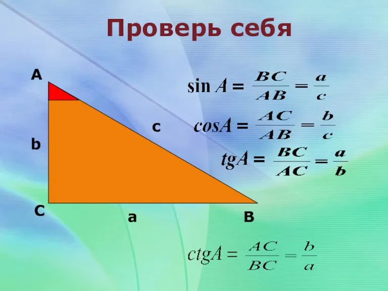 Проверь себя А С В b c a