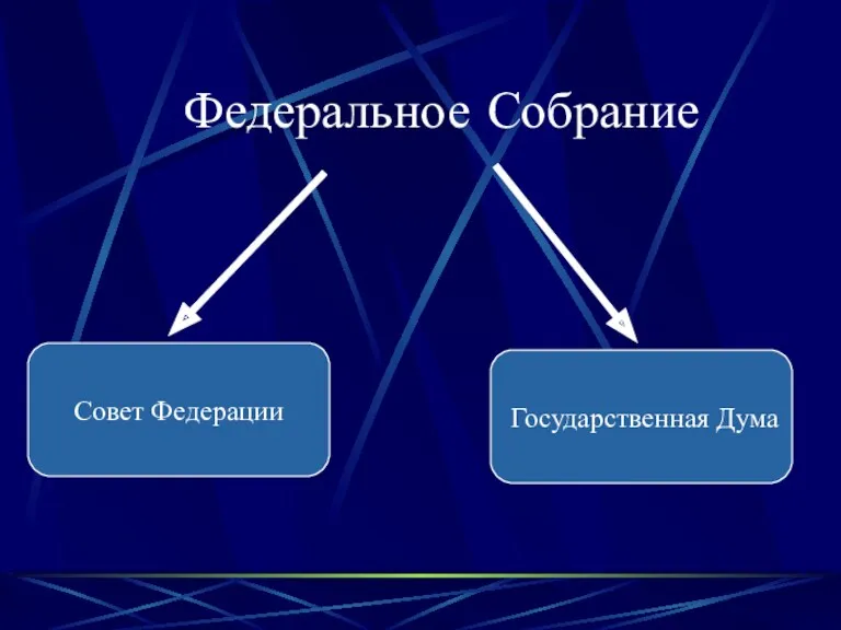 Федеральное Собрание Совет Федерации Государственная Дума