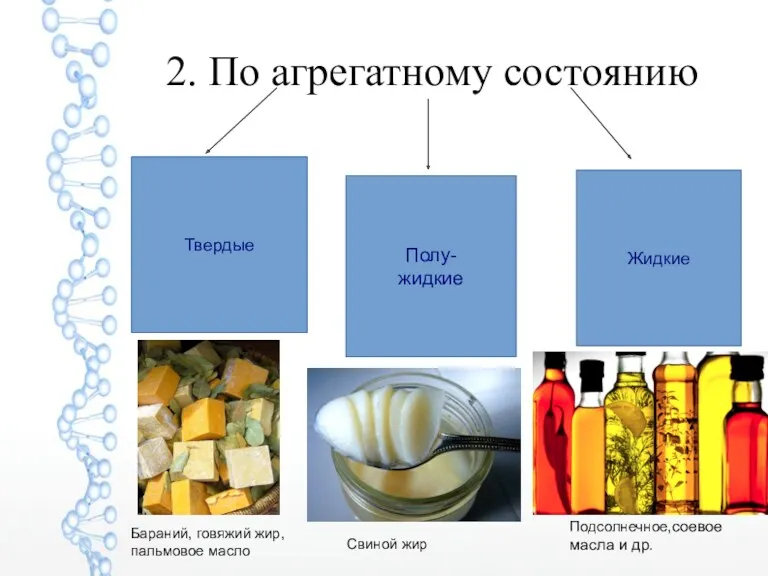 2. По агрегатному состоянию Твердые Полу- жидкие Жидкие Подсолнечное,соевое масла