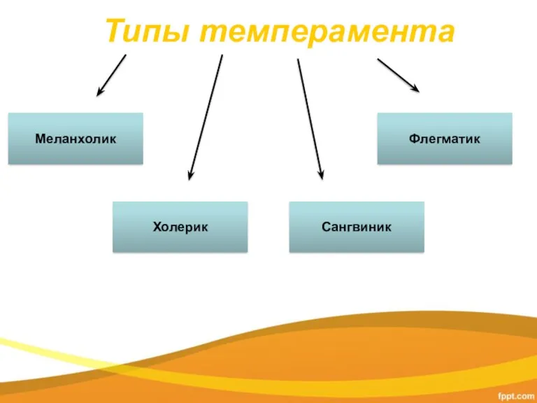 Типы темперамента Меланхолик Холерик Сангвиник Флегматик