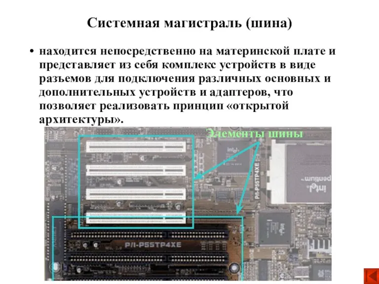 Системная магистраль (шина) находится непосредственно на материнской плате и представляет