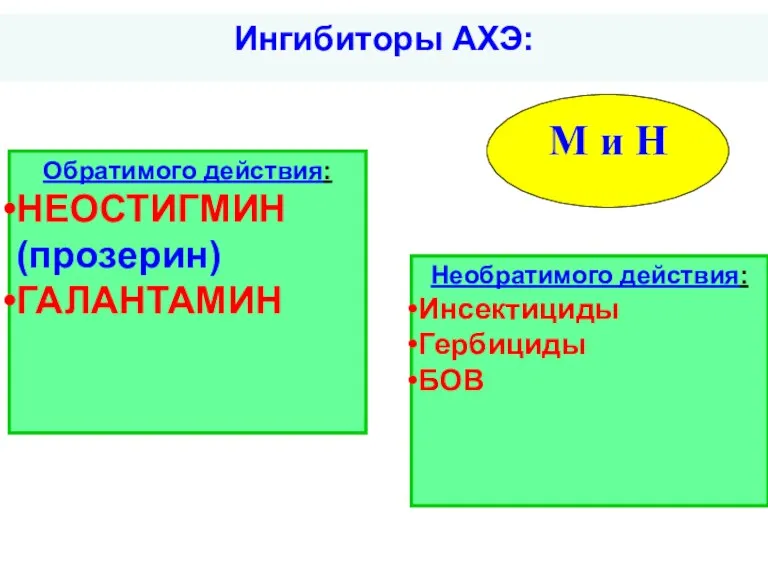 Необратимого действия: Инсектициды Гербициды БОВ М и Н