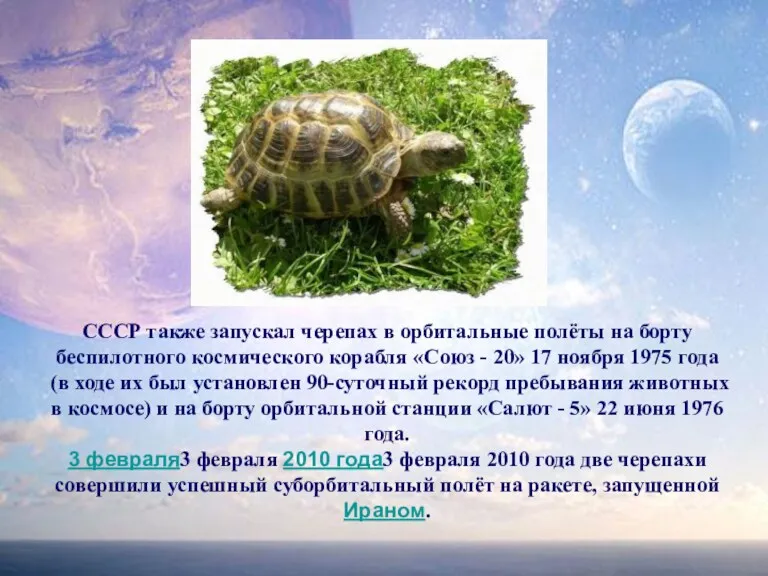 СССР также запускал черепах в орбитальные полёты на борту беспилотного