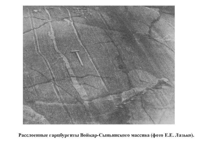 Расслоенные гарцбургиты Войкар-Сыньинского массива (фото Е.Е. Лазько).