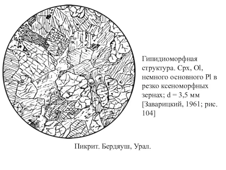 Пикрит. Бердяуш, Урал. Гипидиоморфная структура. Cpx, Ol, немного основного Pl