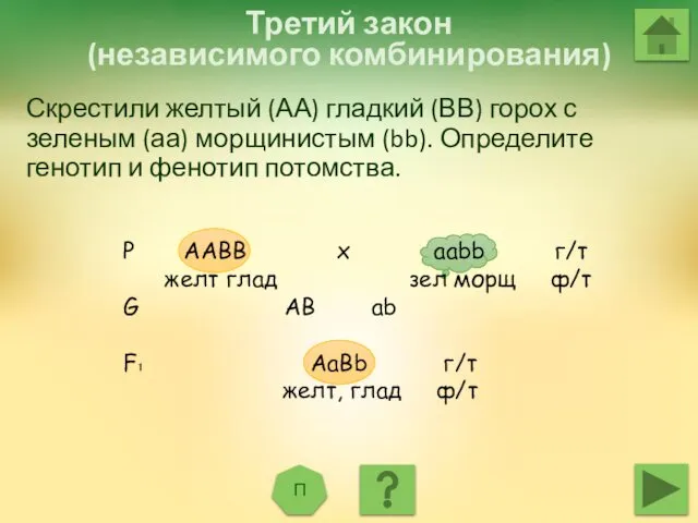 Третий закон (независимого комбинирования) П Р ААBB х ааbb г/т