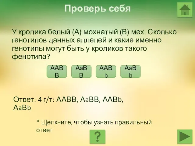 Проверь себя * Щелкните, чтобы узнать правильный ответ У кролика