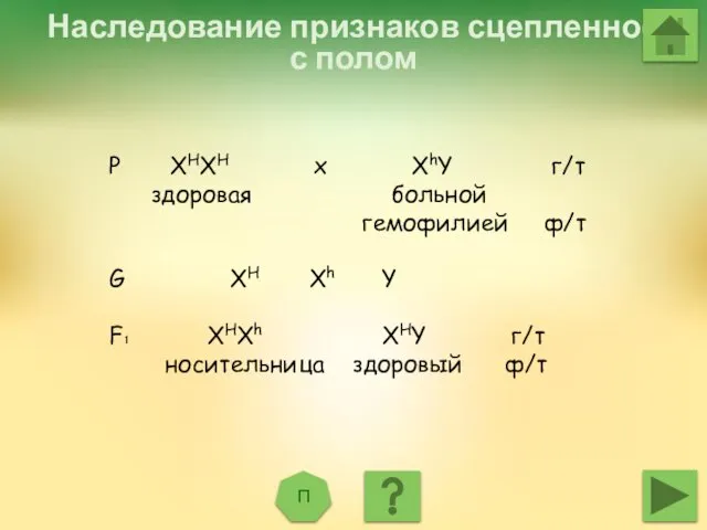 Наследование признаков сцепленное с полом П Р XHXH х XhY