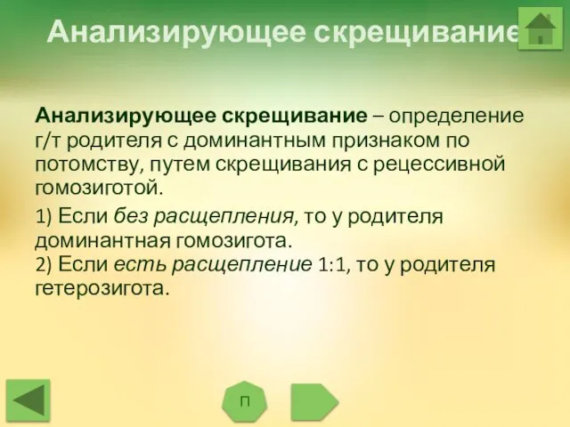 Анализирующее скрещивание П Анализирующее скрещивание – определение г/т родителя с