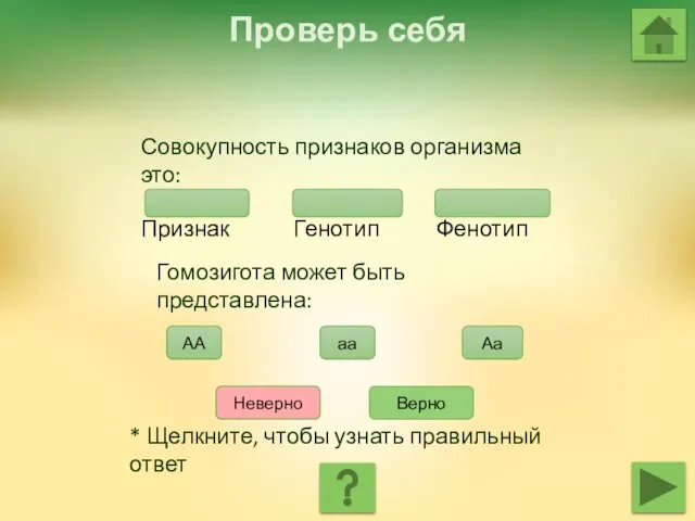 Проверь себя Совокупность признаков организма это: Признак Генотип Фенотип Гомозигота