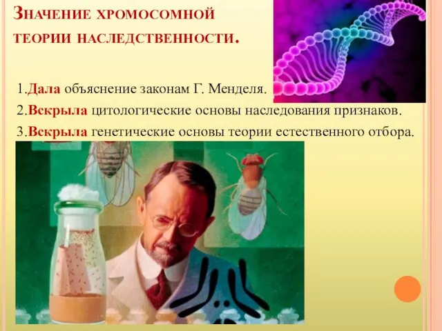 Значение хромосомной теории наследственности. 1.Дала объяснение законам Г. Менделя. 2.Вскрыла