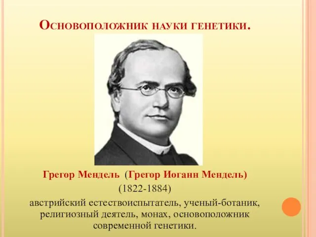 Основоположник науки генетики. Грегор Мендель (Грегор Иоганн Мендель) (1822-1884) австрийский