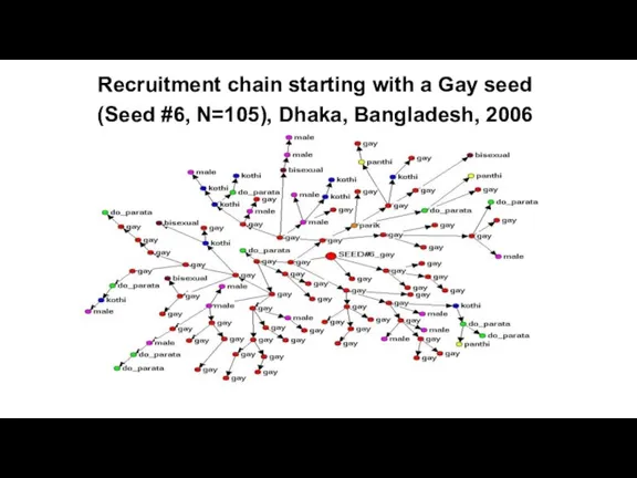 Recruitment chain starting with a Gay seed (Seed #6, N=105),