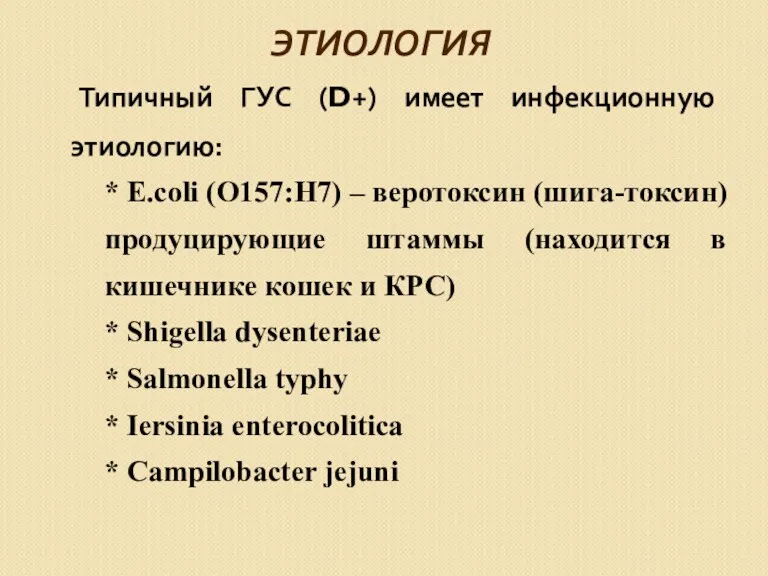ЭТИОЛОГИЯ Типичный ГУС (D+) имеет инфекционную этиологию: * E.coli (О157:Н7) – веротоксин (шига-токсин)