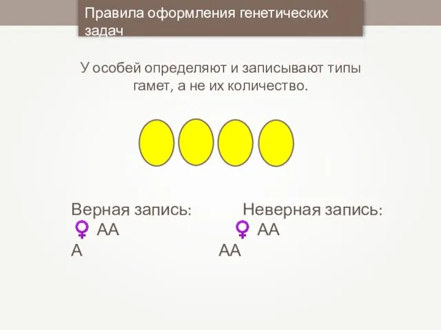 Правила оформления генетических задач У особей определяют и записывают типы гамет, а не