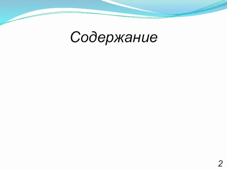 Содержание 2