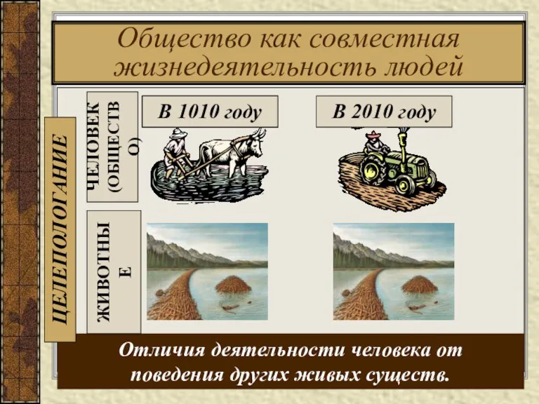 Общество как совместная жизнедеятельность людей ЧЕЛОВЕК (ОБЩЕСТВО) Отличия деятельности человека