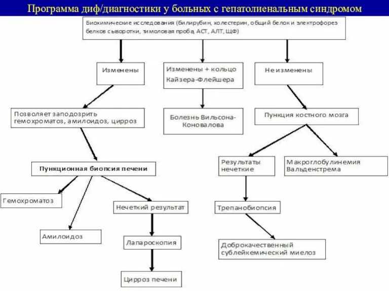 Программа диф/диагностики у больных с гепатолиенальным синдромом