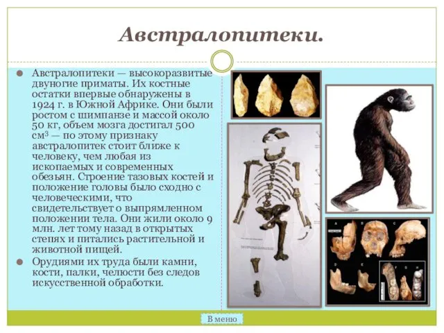 Австралопитеки. Австралопитеки — высокоразвитые двуногие приматы. Их костные остатки впервые