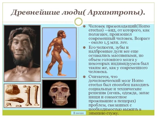 Древнейшие люди( Архантропы). Человек прямоходящий(Homo erectus) —вид, от которого, как