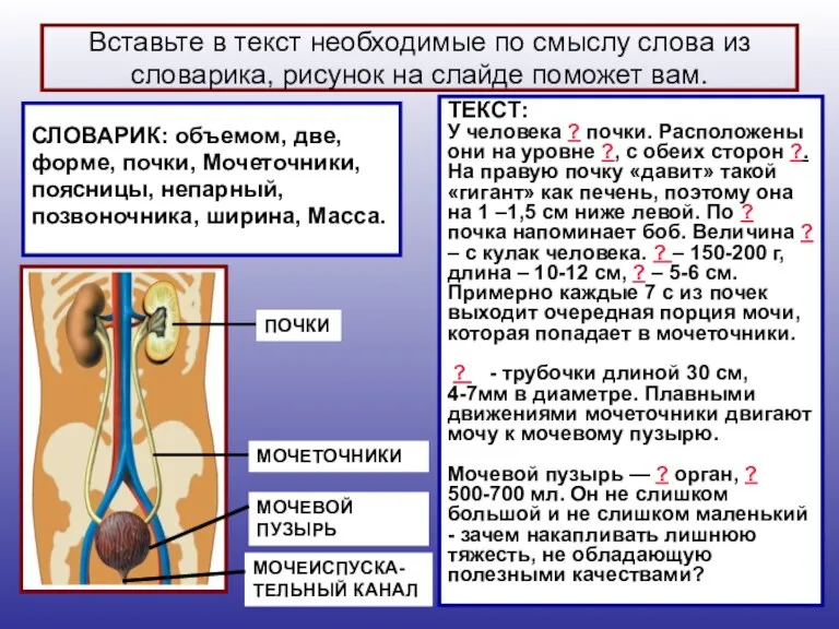 Вставьте в текст необходимые по смыслу слова из словарика, рисунок