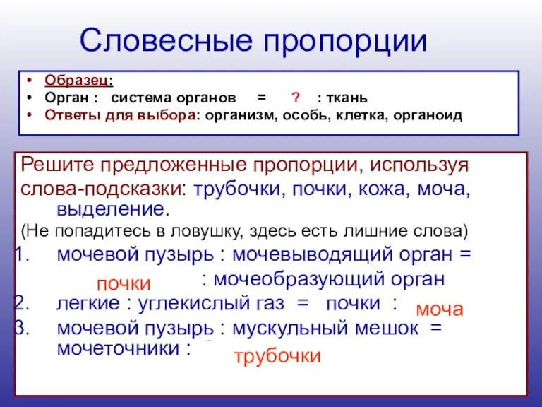 Словесные пропорции Образец: Орган : система органов = ? :