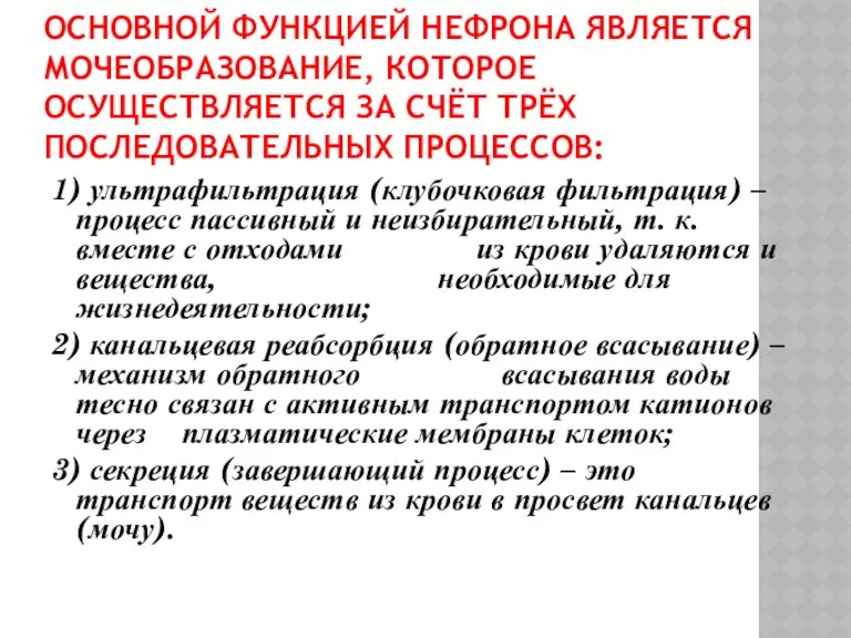 ОСНОВНОЙ ФУНКЦИЕЙ НЕФРОНА ЯВЛЯЕТСЯ МОЧЕОБРАЗОВАНИЕ, КОТОРОЕ ОСУЩЕСТВЛЯЕТСЯ ЗА СЧЁТ ТРЁХ