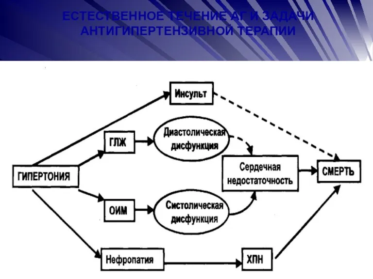 ЕСТЕСТВЕННОЕ ТЕЧЕНИЕ АГ И ЗАДАЧИ АНТИГИПЕРТЕНЗИВНОЙ ТЕРАПИИ