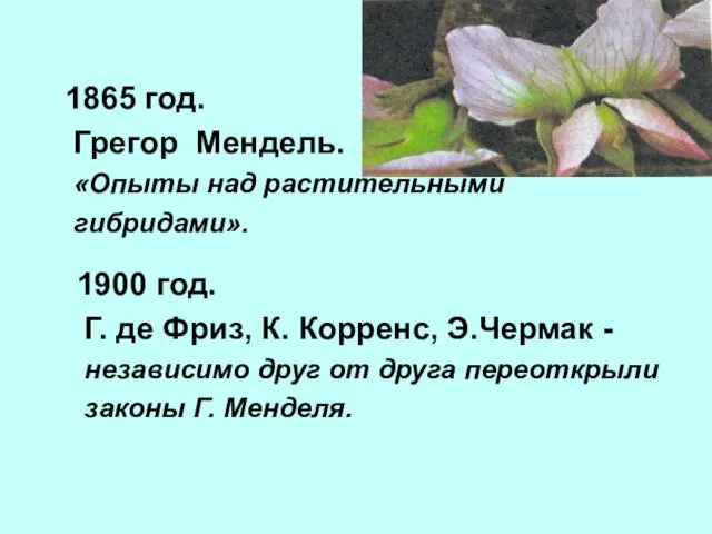 1865 год. Грегор Мендель. «Опыты над растительными гибридами». 1900 год.