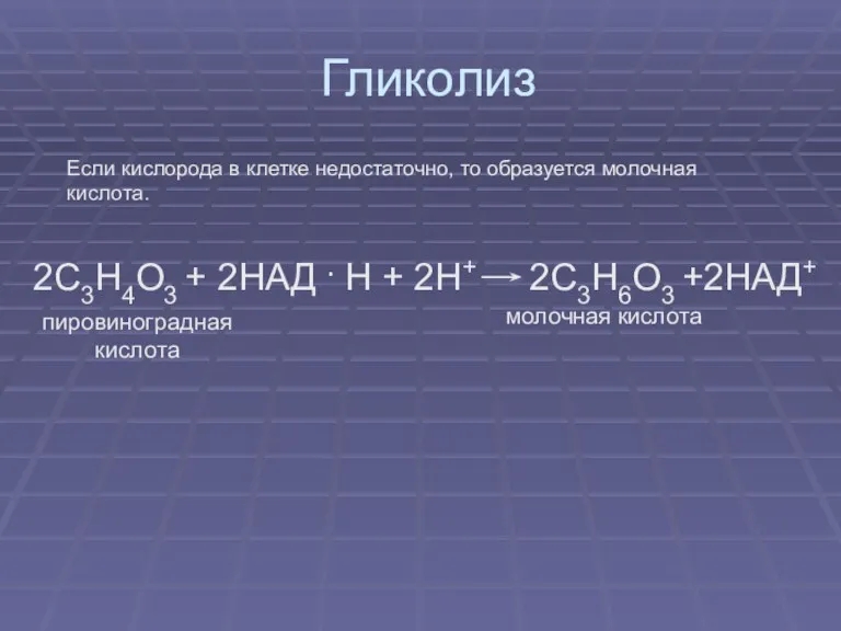 Гликолиз 2С3Н4О3 + 2НАД . Н + 2Н+ 2С3Н6О3 +2НАД+