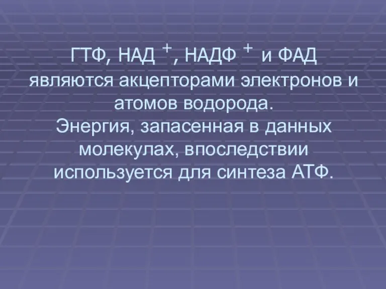 ГТФ, НАД +, НАДФ + и ФАД являются акцепторами электронов