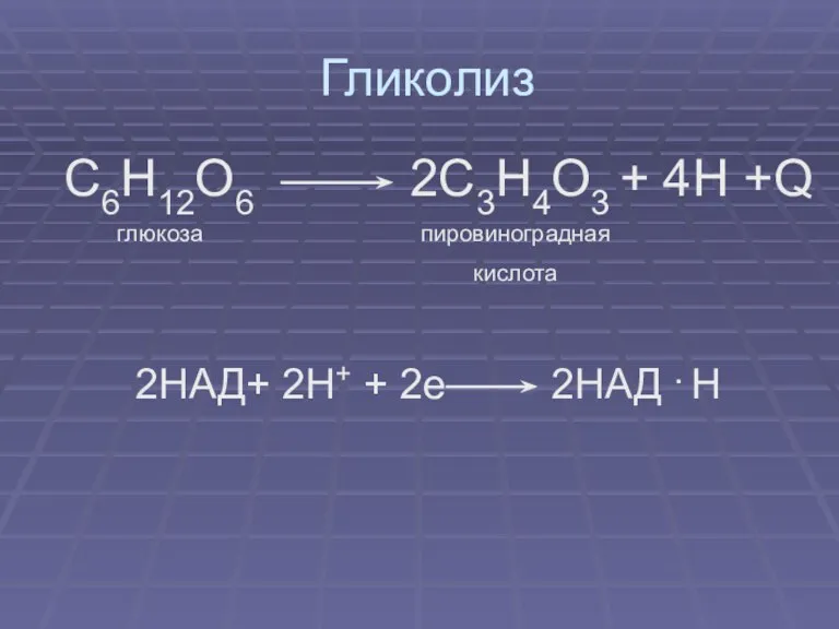 Гликолиз С6Н12О6 2С3Н4О3 + 4Н +Q глюкоза пировиноградная кислота 2НАД+ 2Н+ + 2е 2НАД . Н