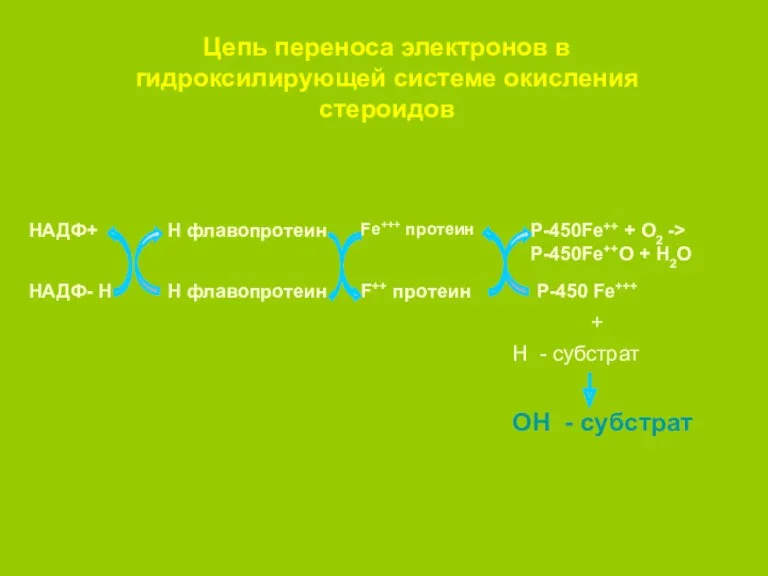 Цепь переноса электронов в гидроксилирующей системе окисления стероидов НАДФ+ НАДФ-