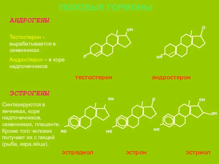 эстрадиол эстрон эстриол андростерон тестостерон ПОЛОВЫЕ ГОРМОНЫ АНДРОГЕНЫ ЭСТРОГЕНЫ Тестостерон