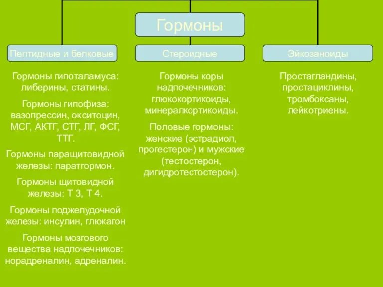 Гормоны гипоталамуса: либерины, статины. Гормоны гипофиза: вазопрессин, окситоцин, МСГ, АКТГ,