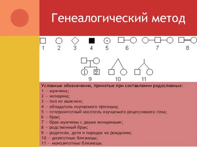 Генеалогический метод Условные обозначения, принятые при составлении родословных: 1 —