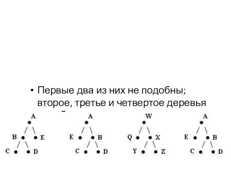 Первые два из них не подобны; второе, третье и четвертое