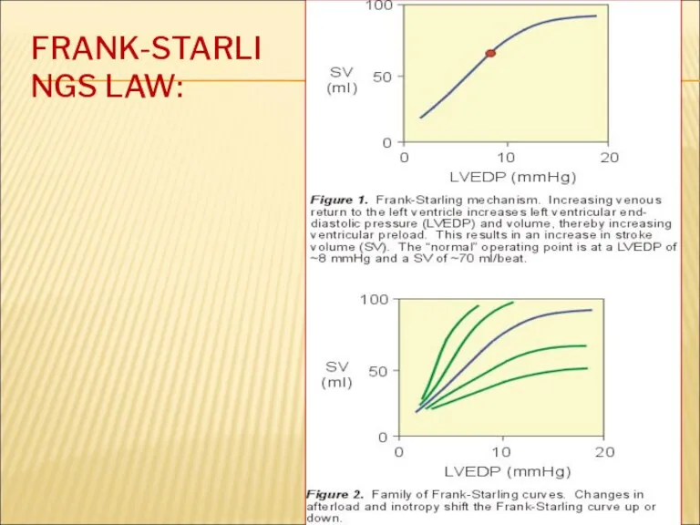 FRANK-STARLINGS LAW: