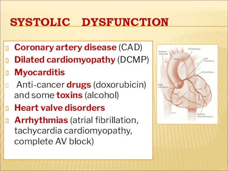 SYSTOLIC DYSFUNCTION Coronary artery disease (CAD) Dilated cardiomyopathy (DCMP) Myocarditis