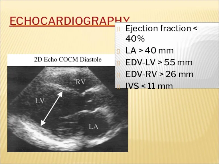 ECHOCARDIOGRAPHY Ejection fraction LA > 40 mm EDV-LV > 55 mm EDV-RV > 26 mm IVS