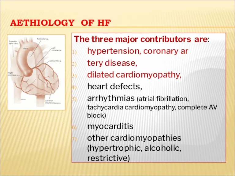 AETHIOLOGY OF HF The three major contributors are: hypertension, coronary