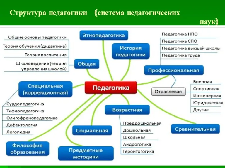 Структура педагогики (система педагогических наук)