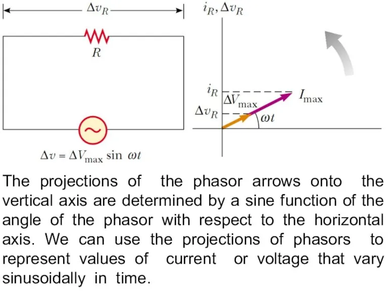 The projections of the phasor arrows onto the vertical axis are determined by