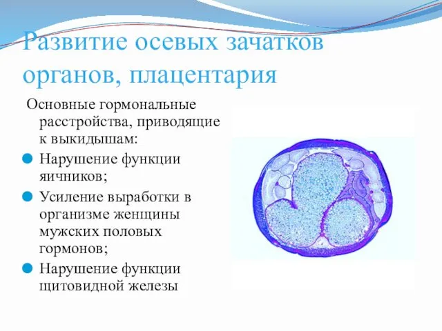Развитие осевых зачатков органов, плацентария Основные гормональные расстройства, приводящие к