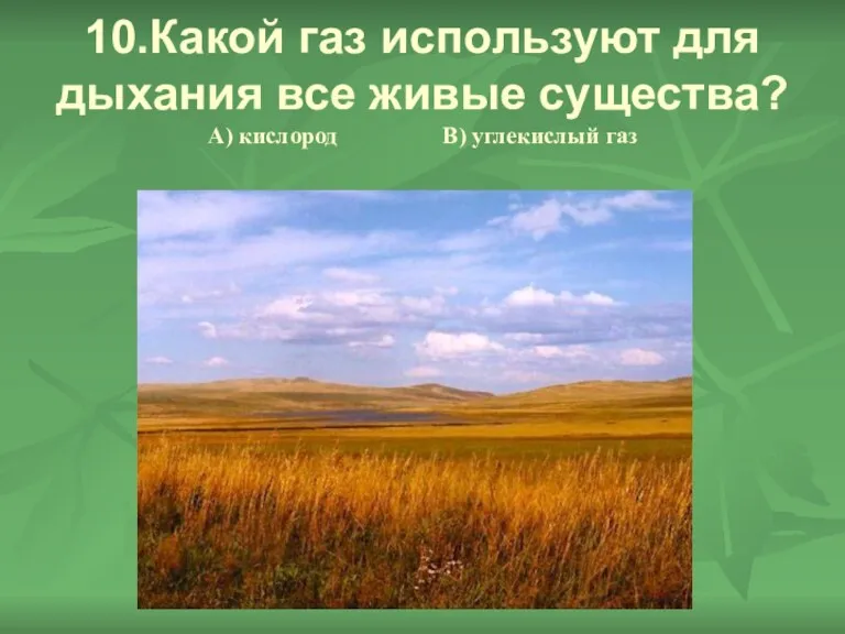 10.Какой газ используют для дыхания все живые существа? А) кислород В) углекислый газ